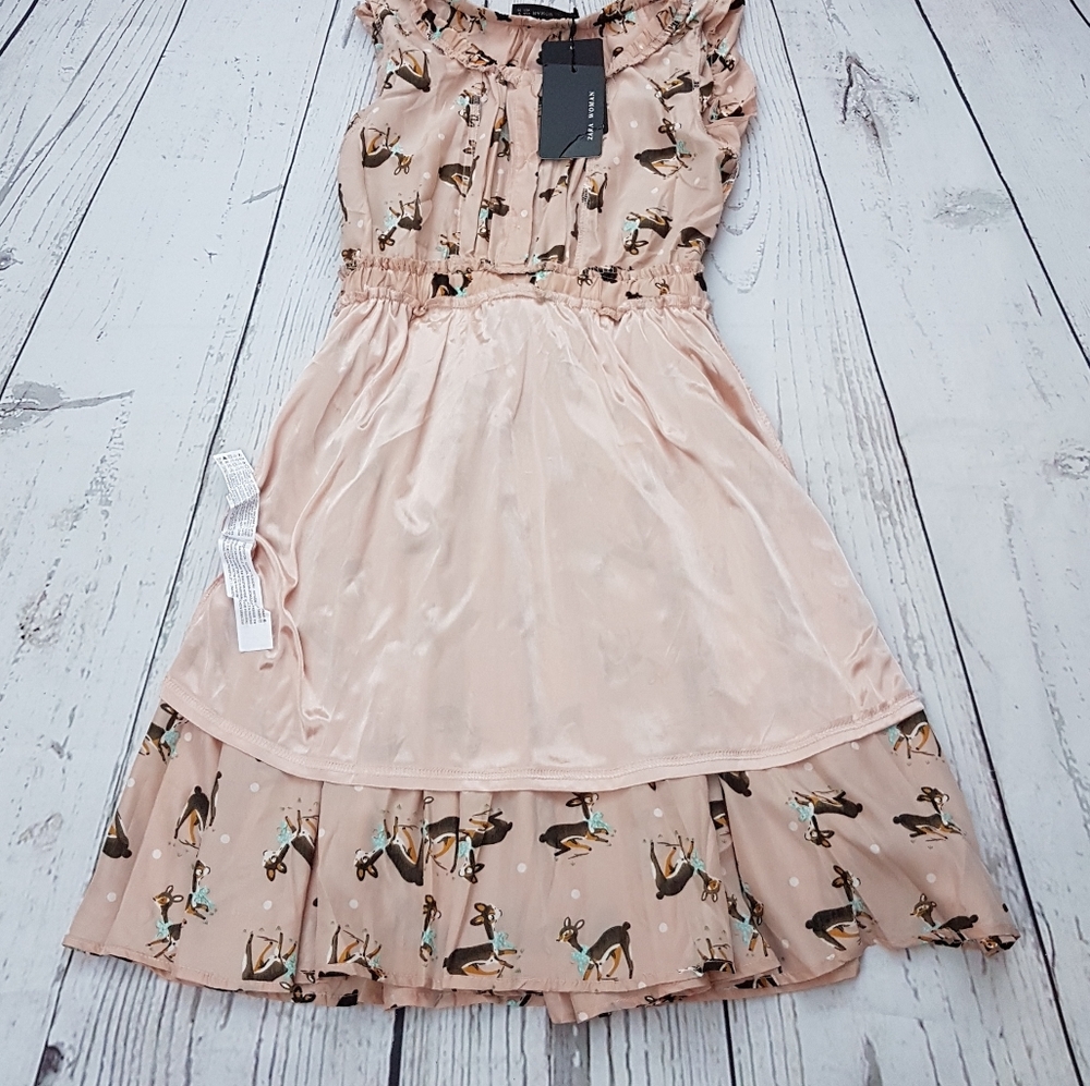 Zara Dress - Picture 8 of 9